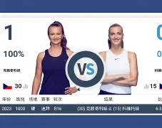 舍甫琴科现场观看乌克兰对阵罗马尼亚